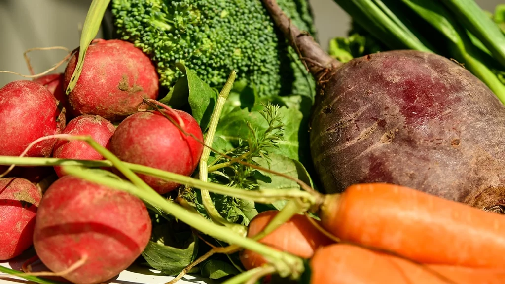 野菜のイメージ