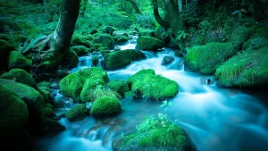 天然水のイメージ