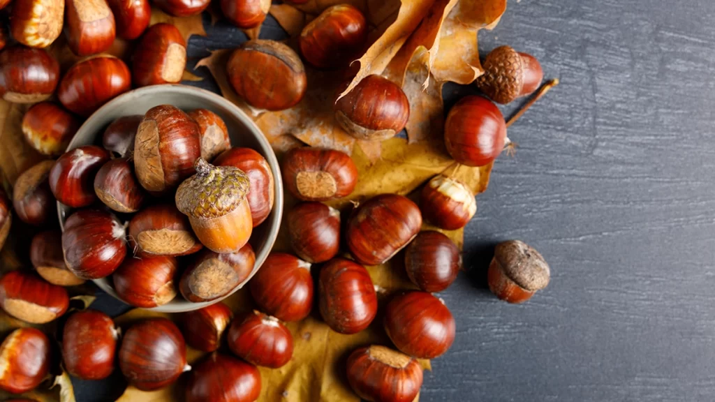 栗のイメージ
